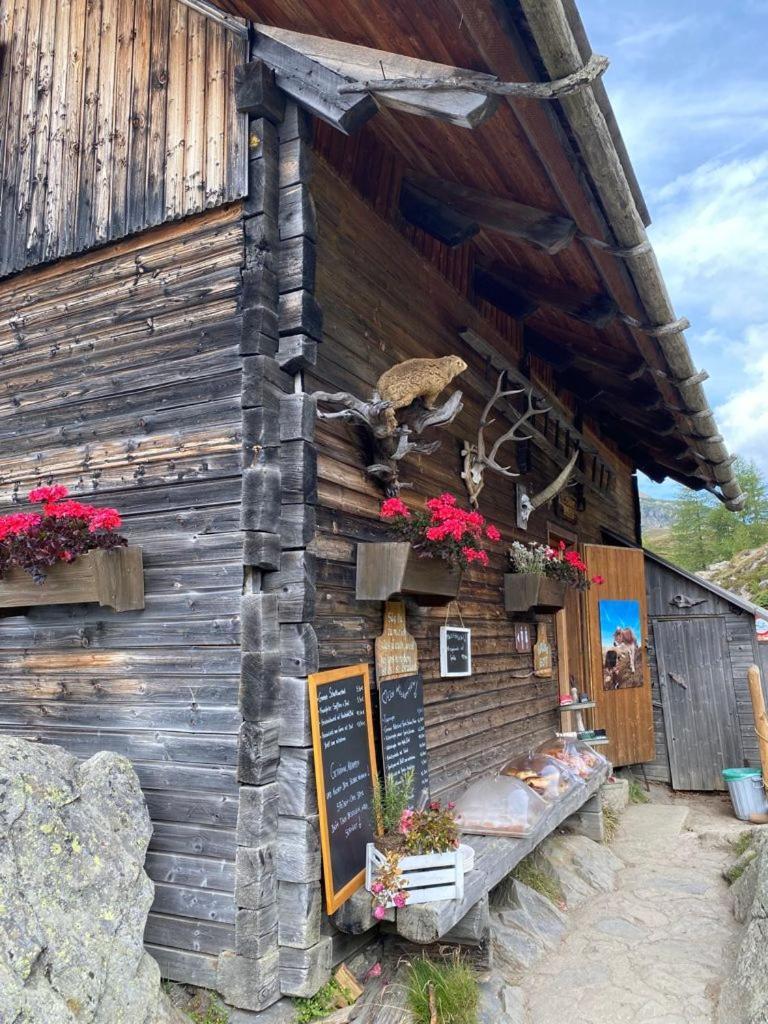 Nocky Mountains Lodge And Apartment Radenthein Exteriör bild